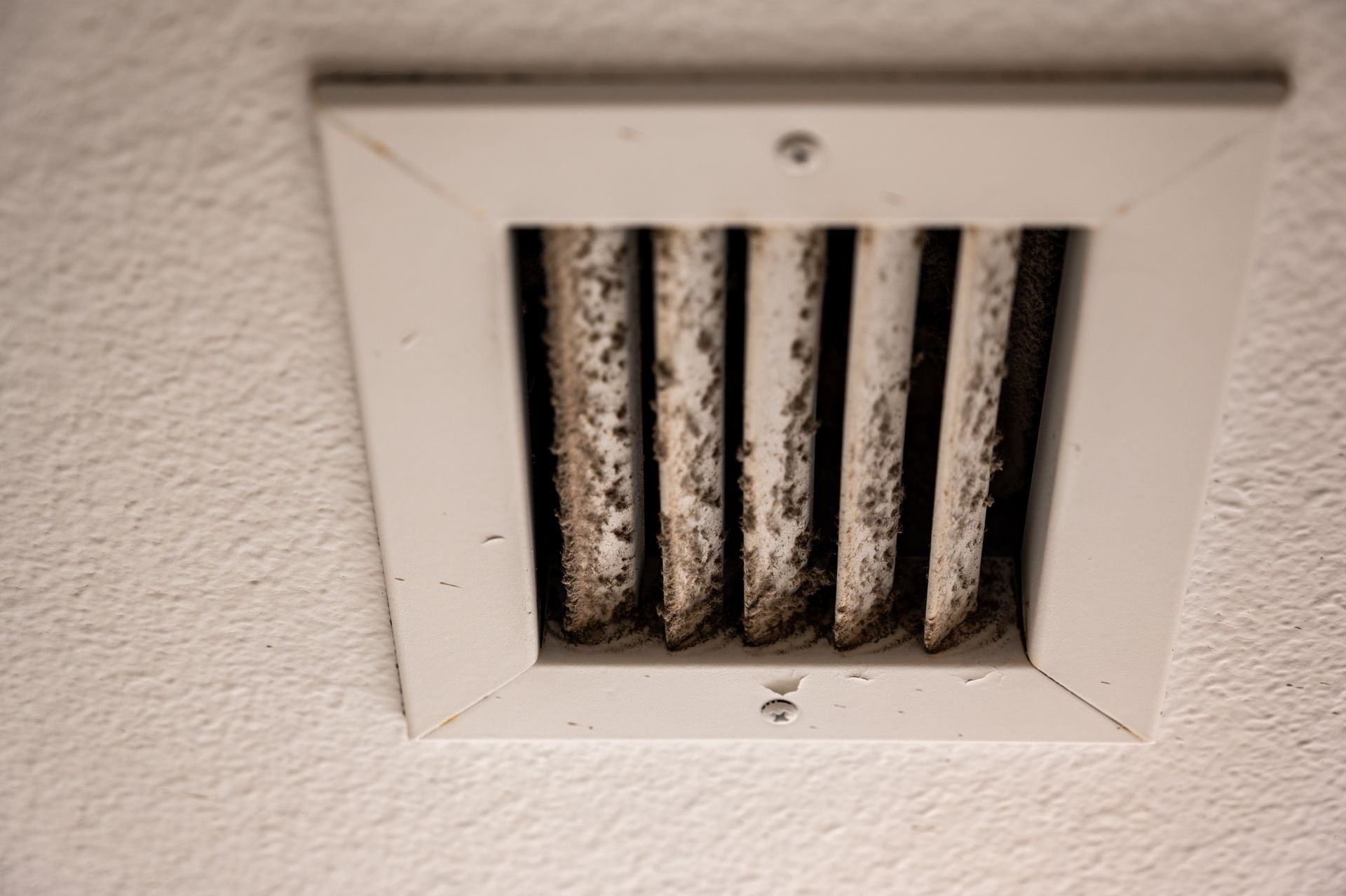 Mold in Air Vents